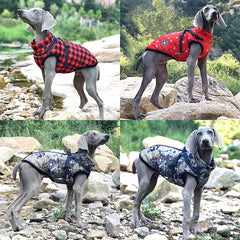 Warm Dog Jacket with Harness