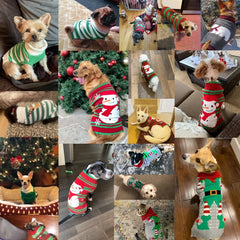 Christmas Striped Dog Sweater