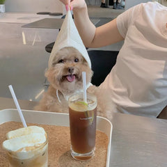 Funny Puppy Knitted Sling Dress