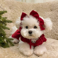 Christmas Princess Dog Dress Set