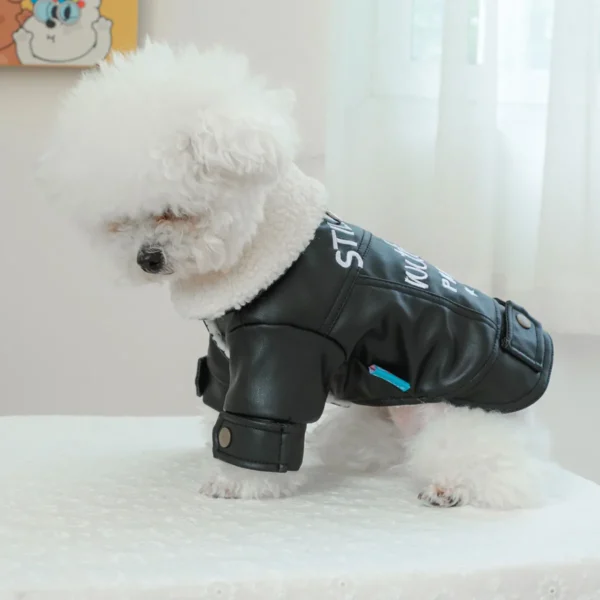 Waterproof Dog Coat Snow Winter Leather Outfit For Small Medium Animal